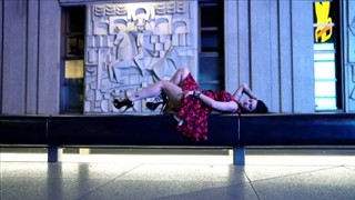 Laski całkiem dobrze dają sobie radę