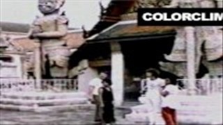 Silvia na sztywnym penisie