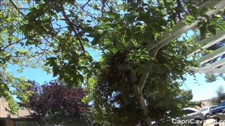 Blondyneczka na huśtawce 