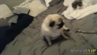 Piękne sterczące sutki 