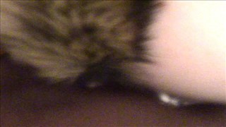 Owłosiona małolata lubi bawić się stopami