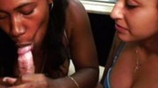 Biała i czarna ciągną w biurze