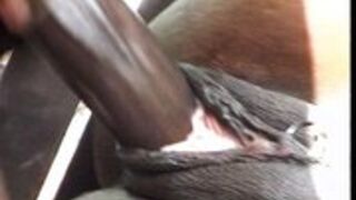 Murzyńskie party przy basenie