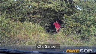 Laski lecą na policjantów