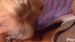 Niemiecka rozkosz przed kamerą