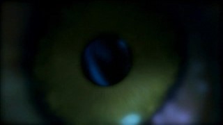 Cycata kocica z pałą między wielkimi silikonami 