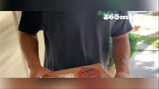 Szarpanie czekoladowego kutaska przez blondi