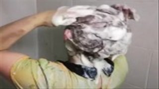 Gorące laski w błocie