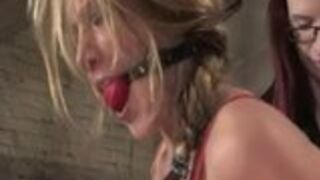 Hogtied - Kylie Wilde